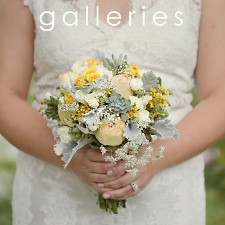 Julie Roberts Photography - Gallery