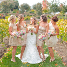 Julie Roberts Photography - Destination Gallery