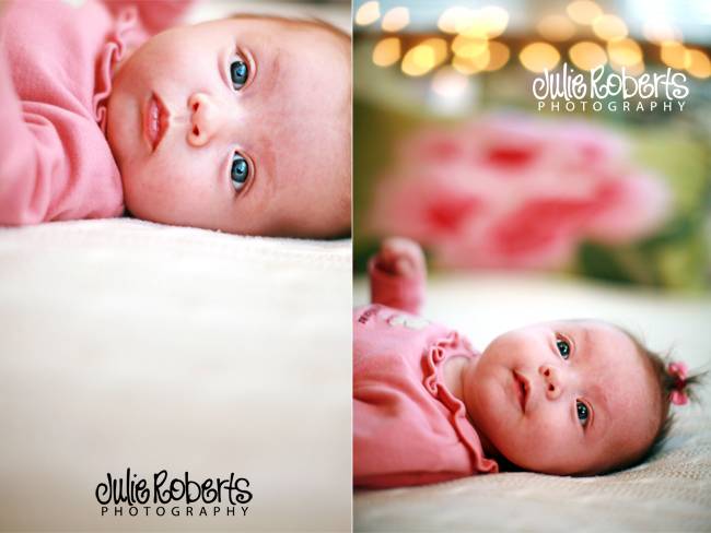 I love a little Maple Rae (10 weeks), Julie Roberts Photography