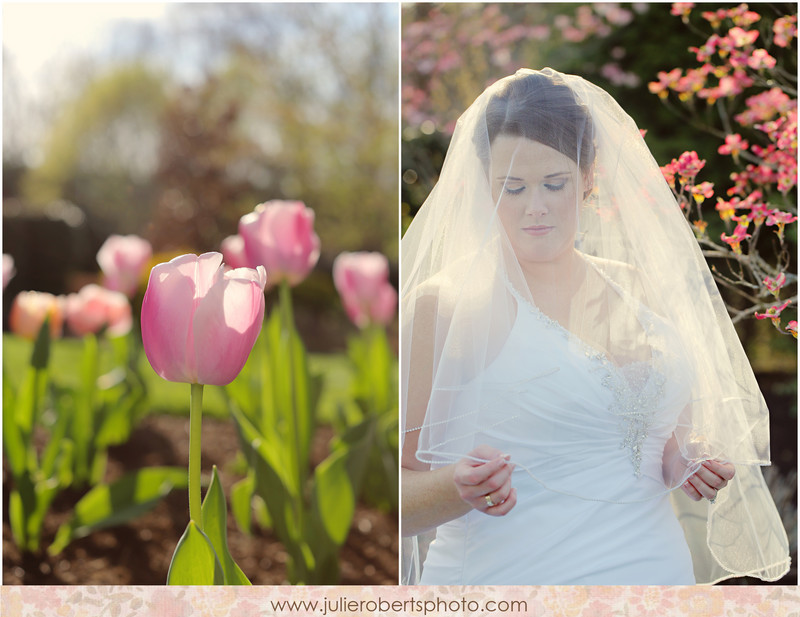Amelia Kempf - Bridal Portraits at Castleton Farms - And a surprise!, Julie Roberts Photography